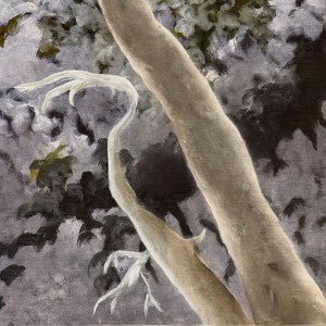 ECHOES OF THE FOREST 4