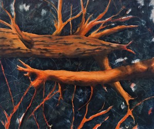 ECHOES OF THE FOREST 6